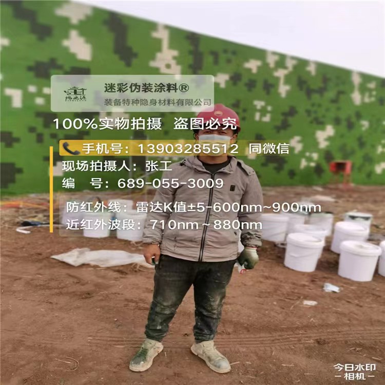 抚顺数字迷彩喷涂,和数码迷彩墙有区别吗