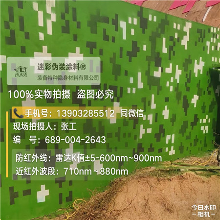 抚顺星空迷彩漆，夏令营训练,数码迷彩作训墙,围墙
